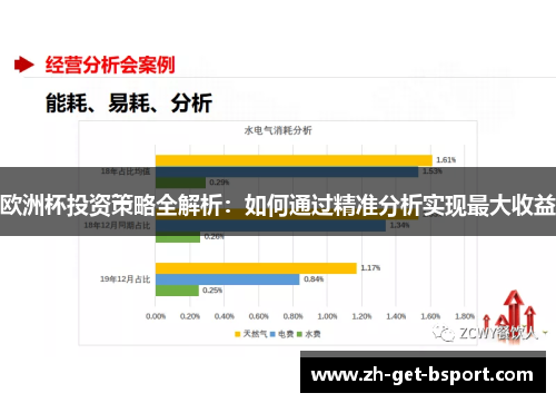 欧洲杯投资策略全解析:如何通过精准分析实现最大收益 欧洲杯投资策略全解析:如何通过精准分析实现最大收益